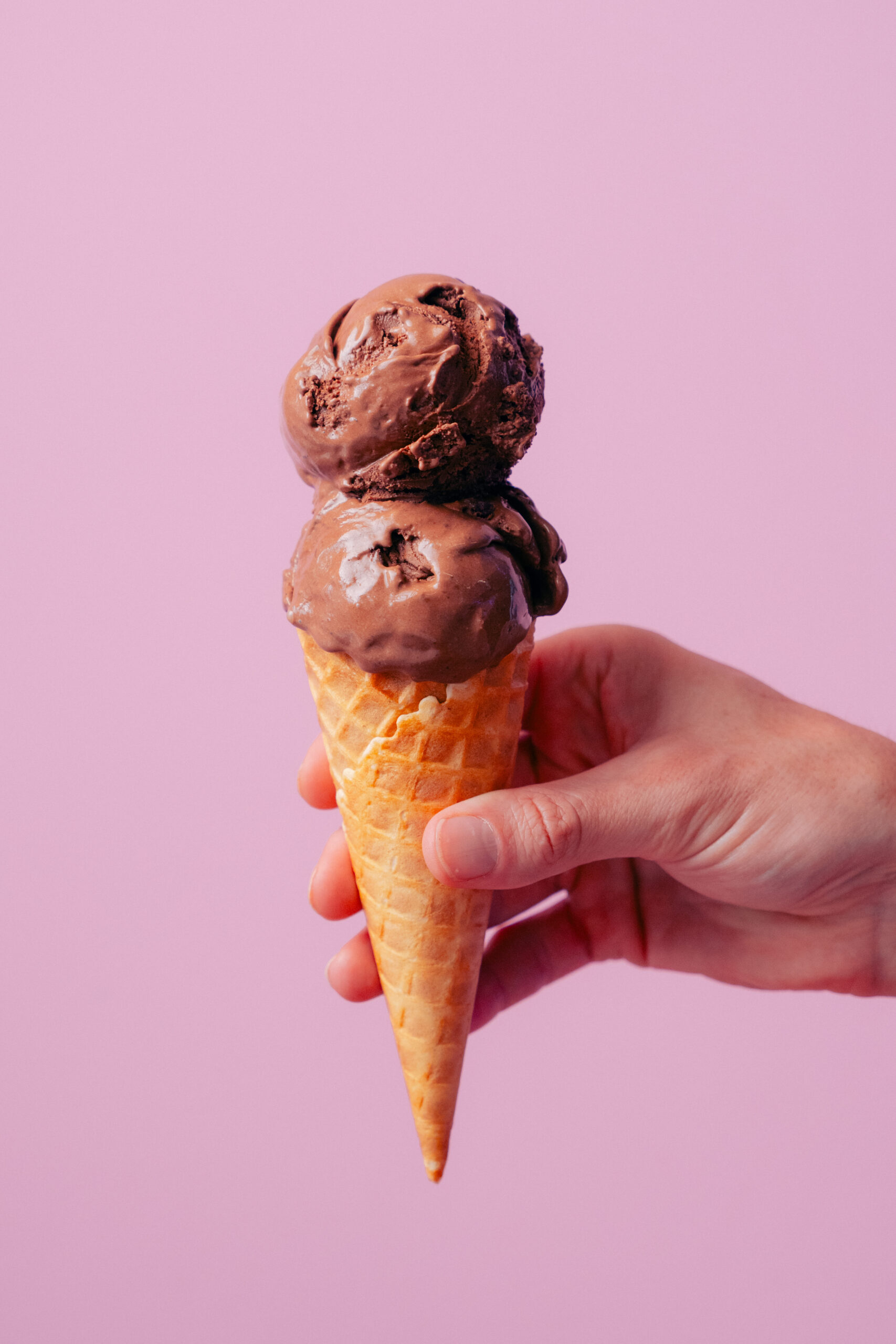 Pauls Homemade Ice Cream Vegan Dark Chocolate