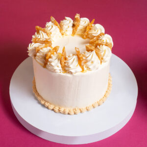 Salted Vanilla Cashew Praline Cake