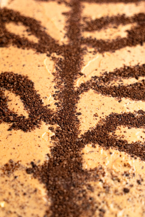 Pauls Homemade Ice Cream Vietnamese Coffee Oreo