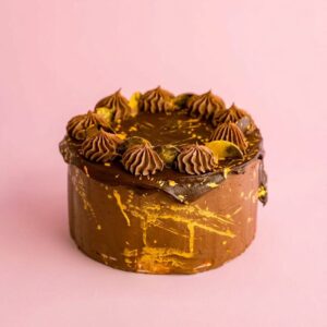 Vegan Dark Chocolate Cake